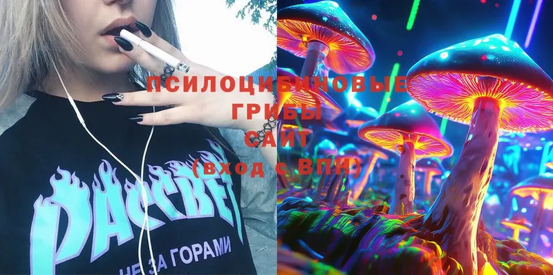 Псилоцибиновые грибы MAGIC MUSHROOMS  Печора 